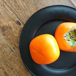 黒皿に柿が２つ並んでます。