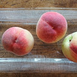 ガラスの器に桃が並んでいます