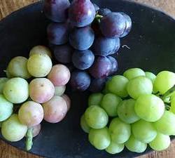 黒盆に3種の葡萄が盛られています