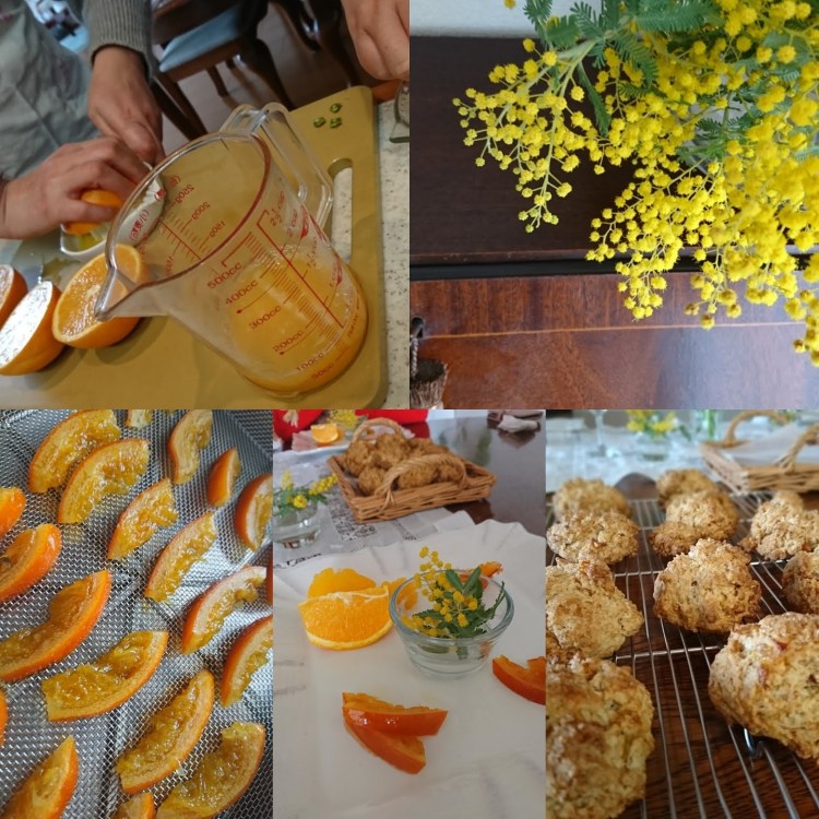 オレンジ絞り、並んだカットピール、焼き菓子、ミモザの画像が並んでいます