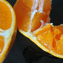 果汁が滴る半分に割った清見オレンジ