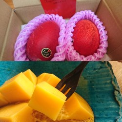 箱に入ったマンゴーとカットしたマンゴー