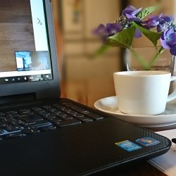 デスクの上にパソコンと紫陽花、カップ＆ソーサーが並んでます。