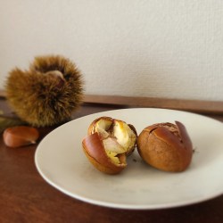 白皿の上に焼き栗が２つ並んでいます。