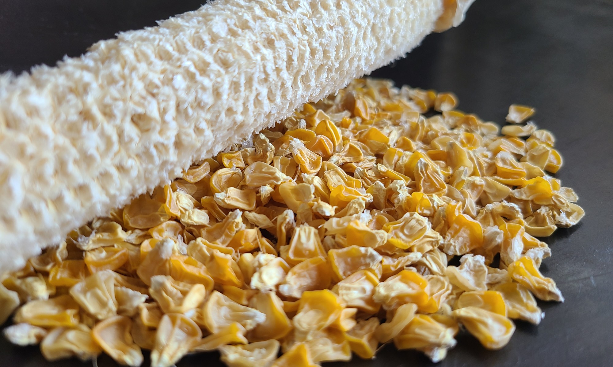 ドライにしたとうもろこしの実と芯