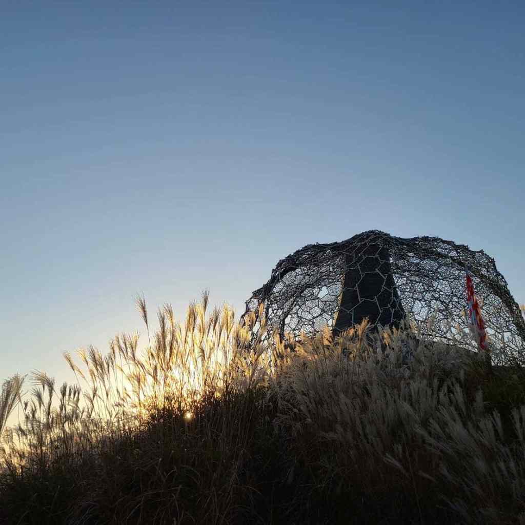 六甲枝垂れとすすきと夕日が沈む空