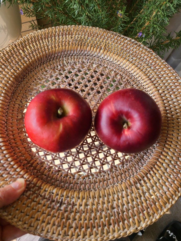 平らな籠の中に真っ赤な林檎が２つ並んでいます。