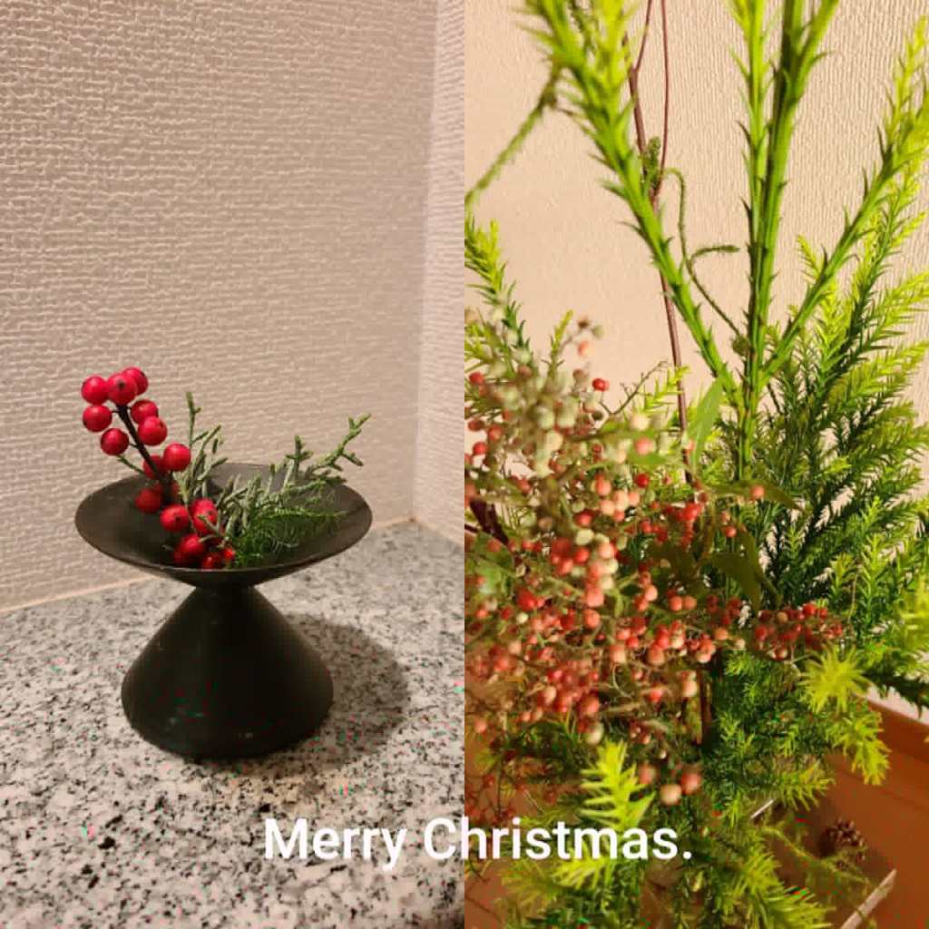 お部屋に飾った花たち（クリスマス）