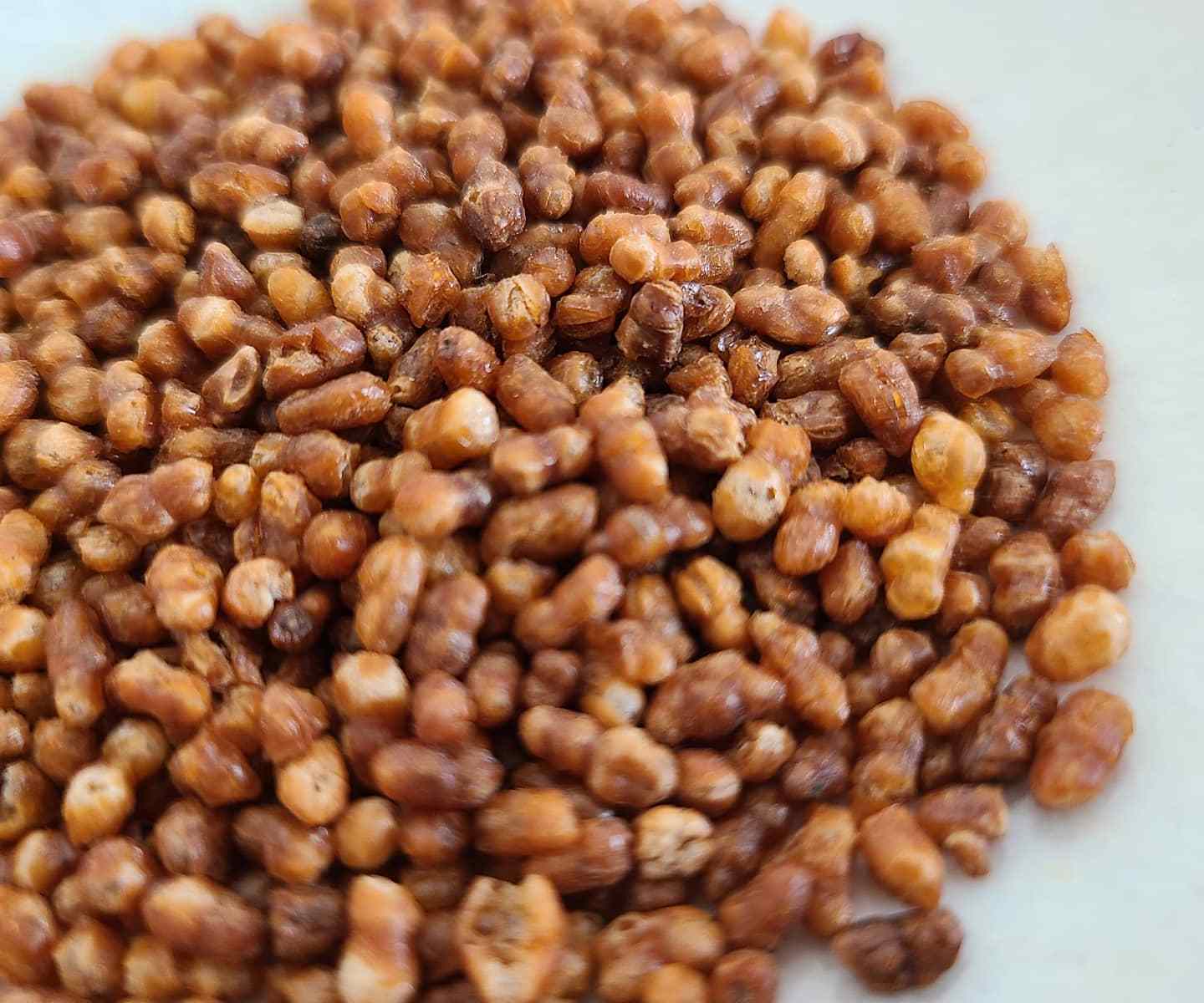 白皿に炒り玄米を盛り付け