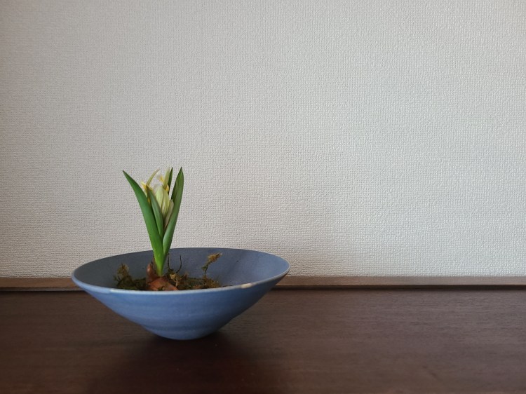 陶器に小さなチューリップを