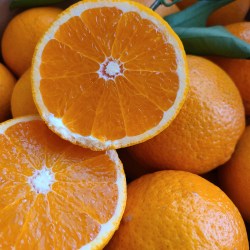 タンゴールの積まれた上にカットしたタンゴール