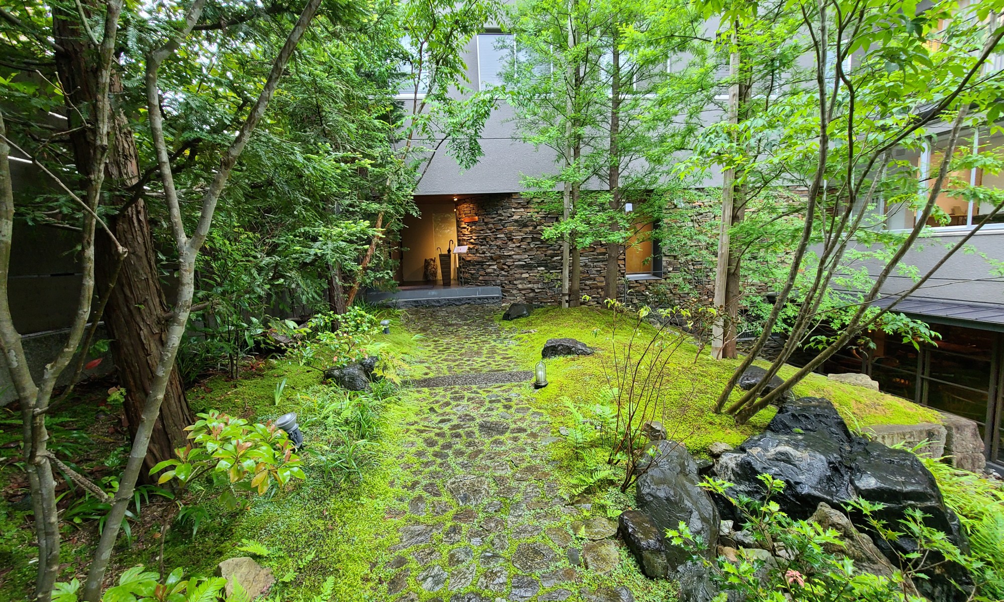 雨に濡れる緑の庭