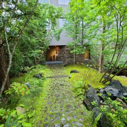 雨に濡れる緑の庭