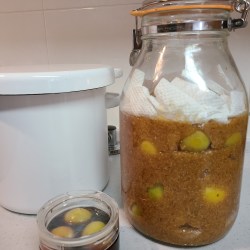 梅みそ、梅干し、梅醤油、其々の容器に仕込まれています