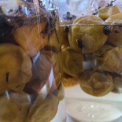 氷砂糖はちみつが溶け瓶の中で浮かんでいる梅たち