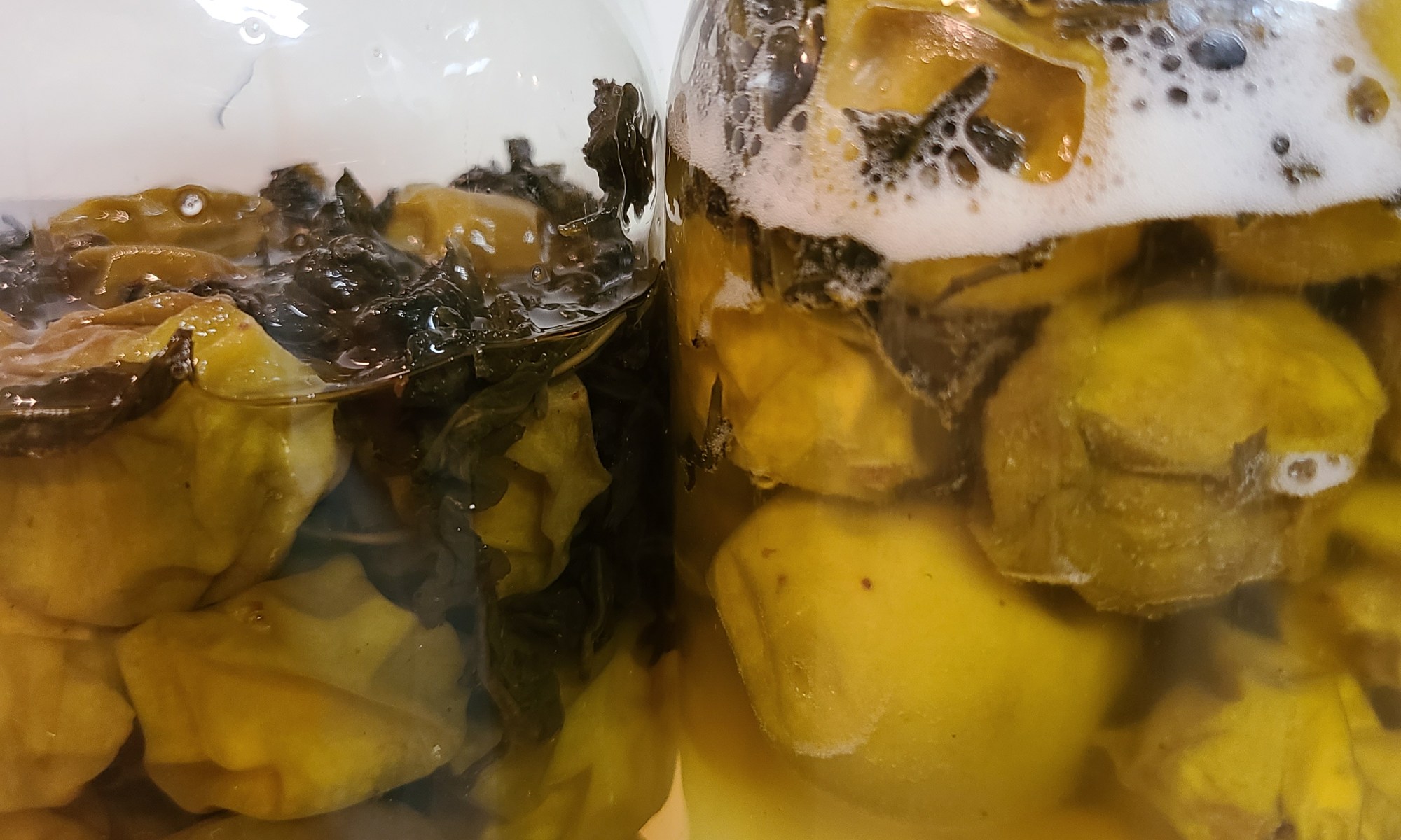 発酵し始めた瓶の中の茶梅たち