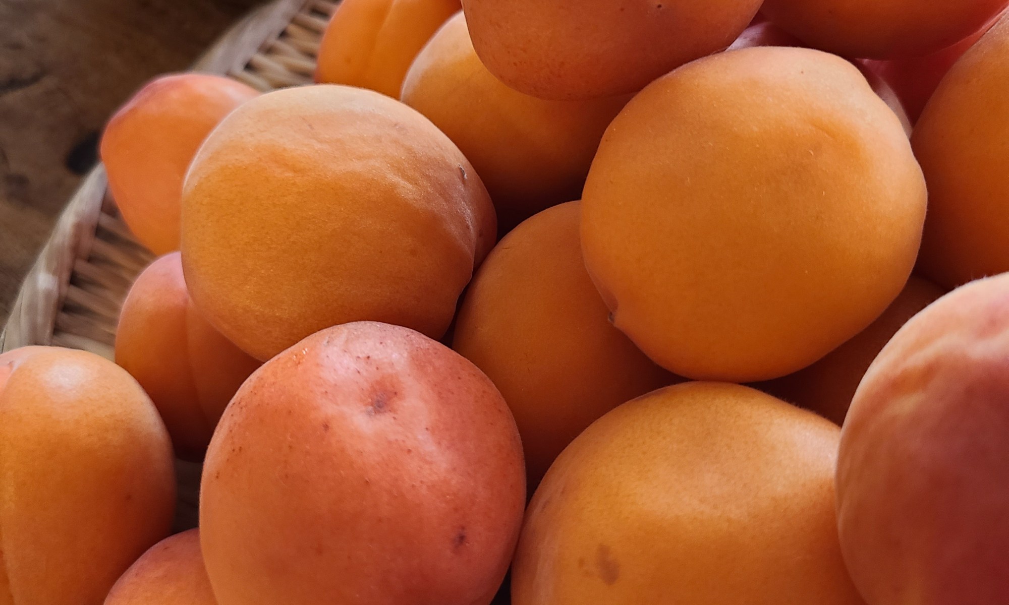 笊の上に山盛りにやっている生杏