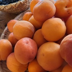 笊の上に山盛りにやっている生杏