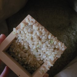 米袋から升を使って新米をすくっている様