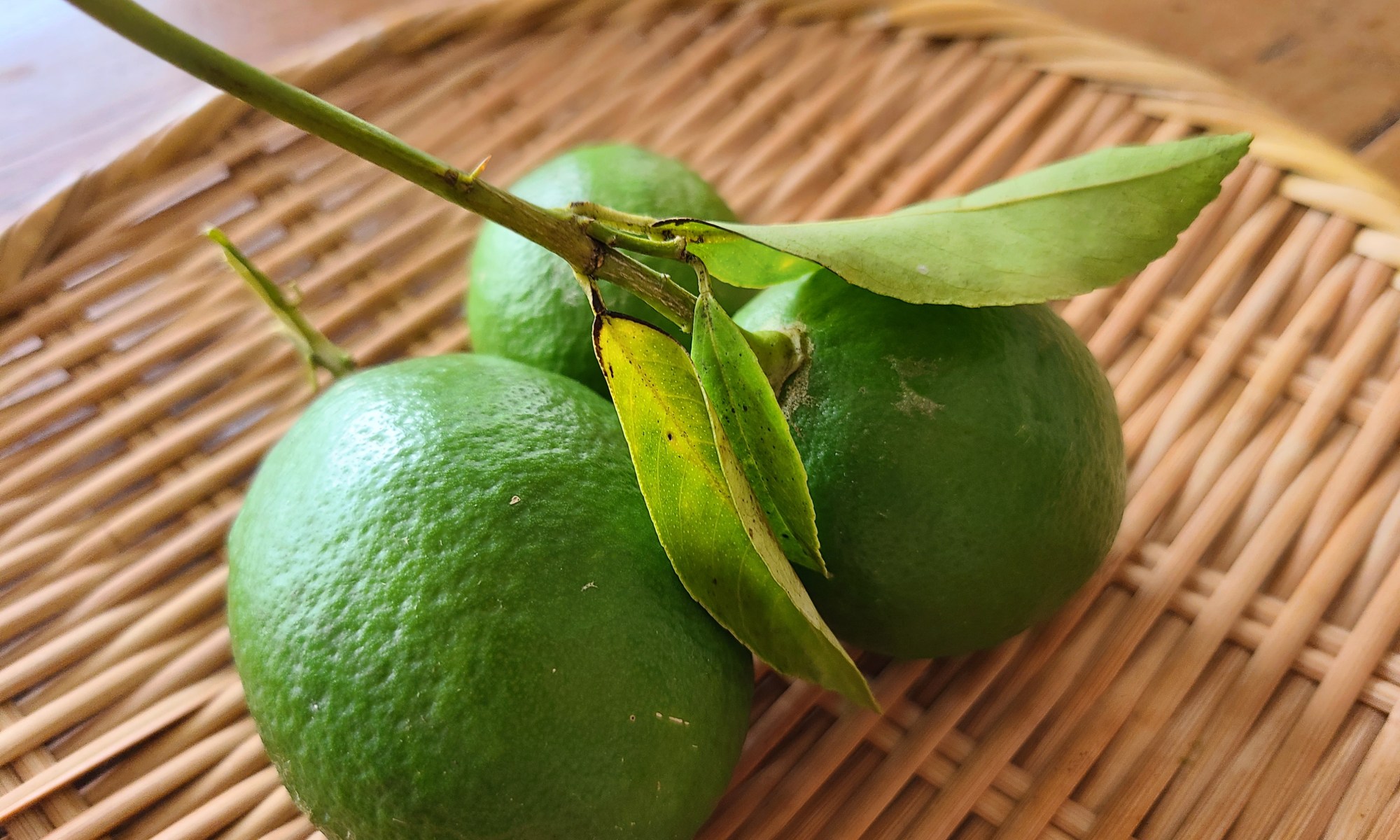 笊の上に葉付きのレモン３コ