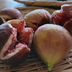 笊の上に熟した無花果が5つ