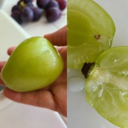 果汁が滴るカットした雄宝