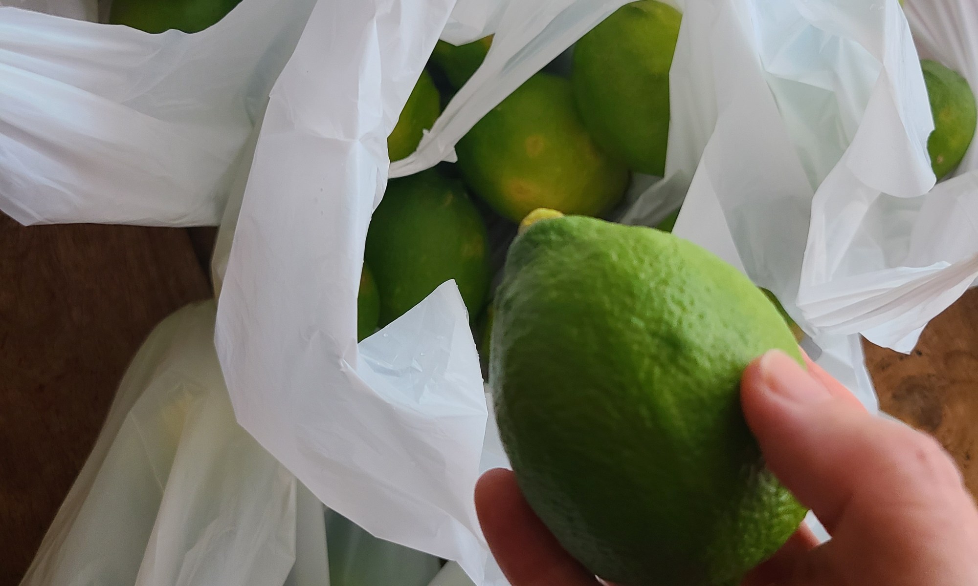 香り高い青々したレモンを袋から取り出し