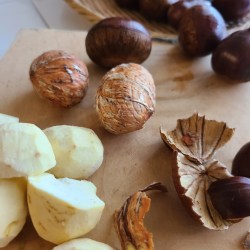 栗の鬼皮、渋皮を向いている様