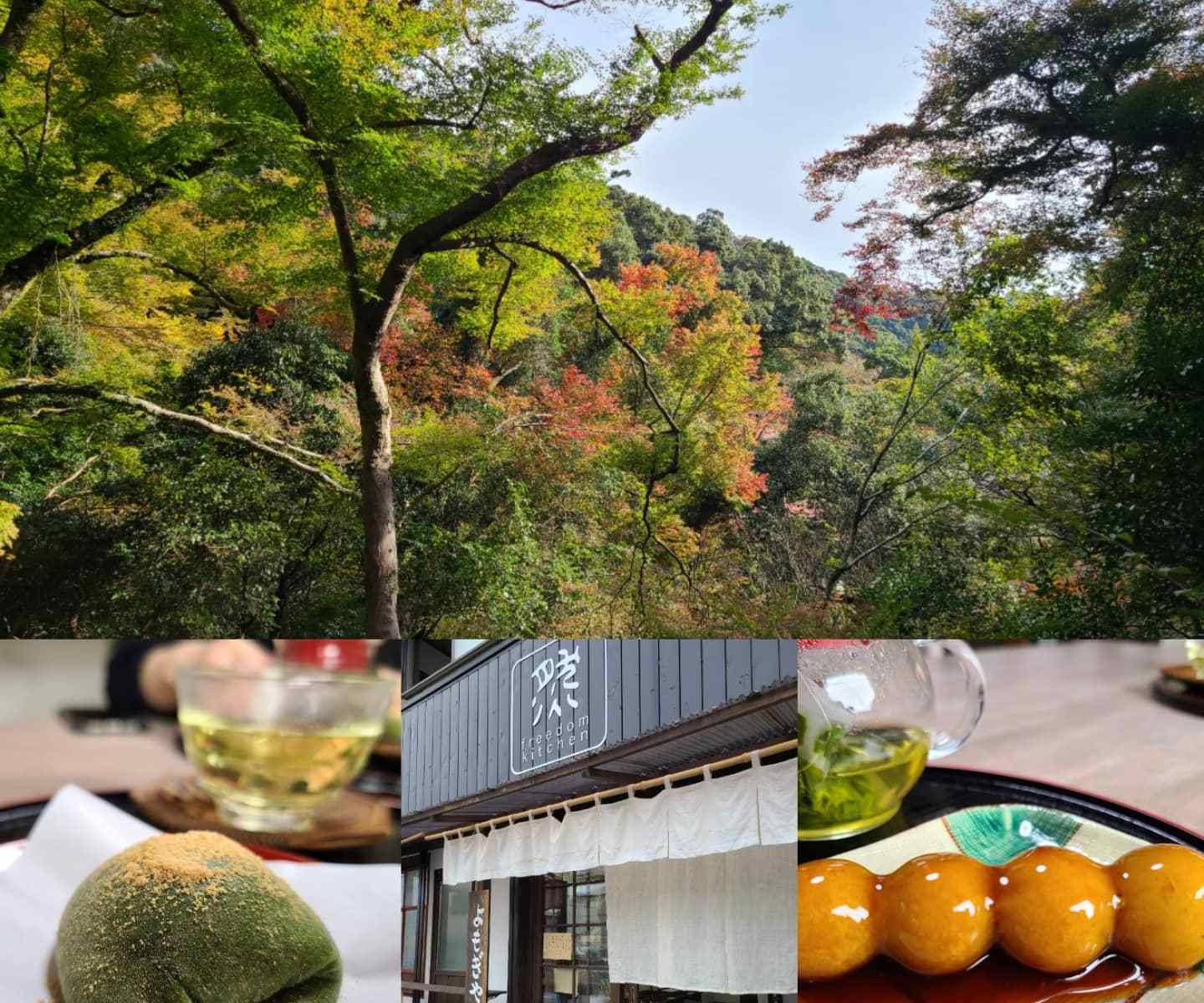 紅葉&よもぎやのお団子が並んでる