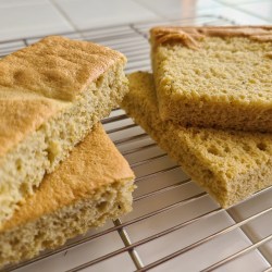 2種のスポンジをカットしラックの上に