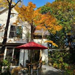 紅葉した森の中にある洋館