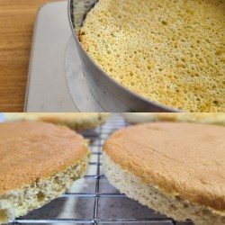 丸くカットされた生地がラックに並んでいる