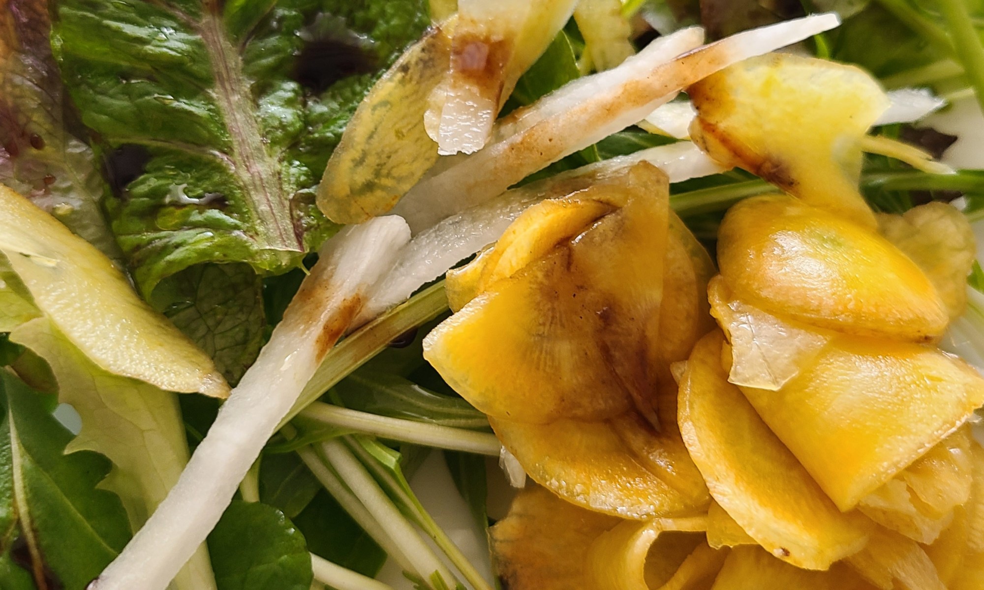 葉もの野菜と黄にんじんサラダが盛り付けられています