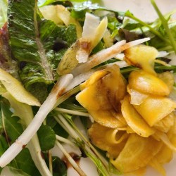 葉もの野菜と黄にんじんサラダが盛り付けられています