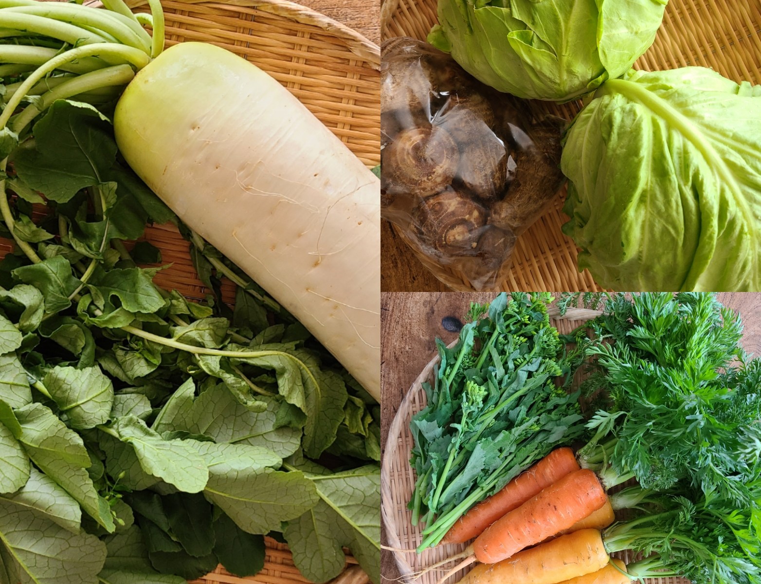 笊の上に大根ニンジン春キャベツなどが盛られています