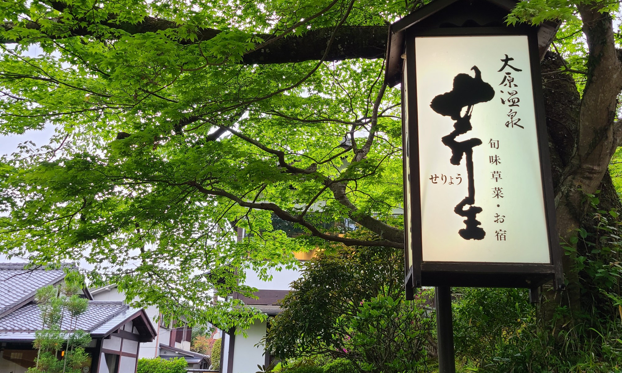大原温泉芹生の表の看板越しの宿