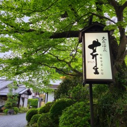 大原温泉芹生の表の看板越しの宿