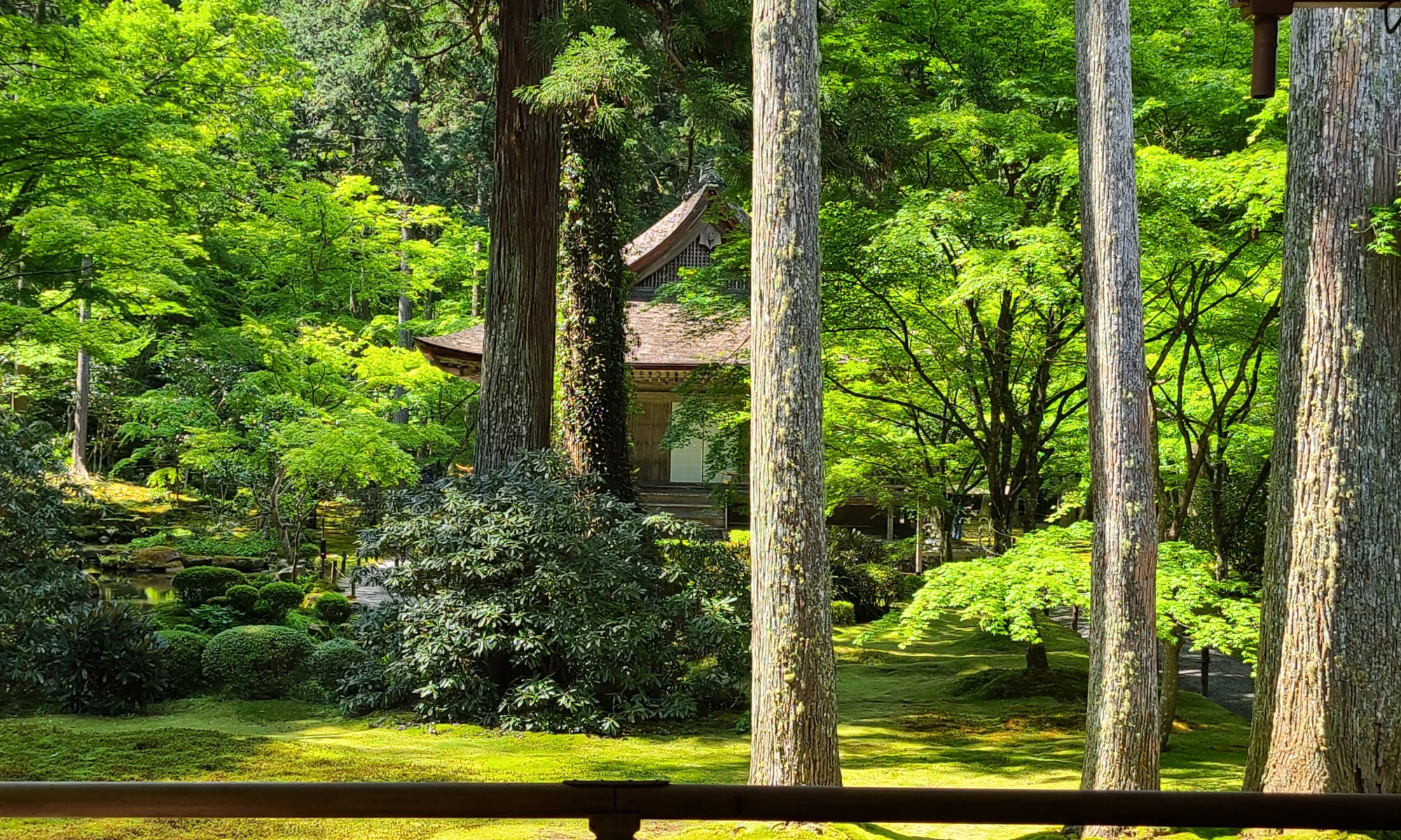 朝の大原三千院