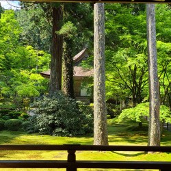 朝の大原三千院