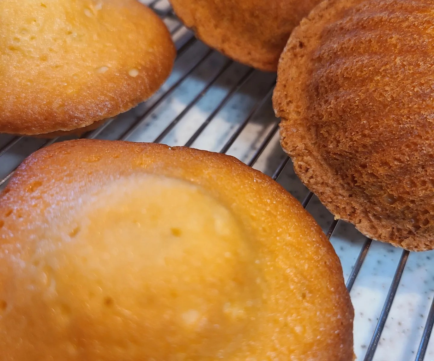 ラックに焼き上がったマドレーヌが並んでいます