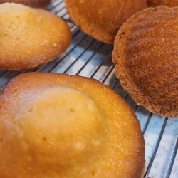ラックに焼き上がったマドレーヌが並んでいます