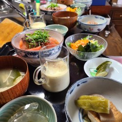 丼ぶりやお味噌汁、小鉢料理などが盆に並んでる