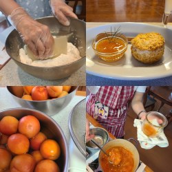 杏ジャム&スコーン作りの作業風景