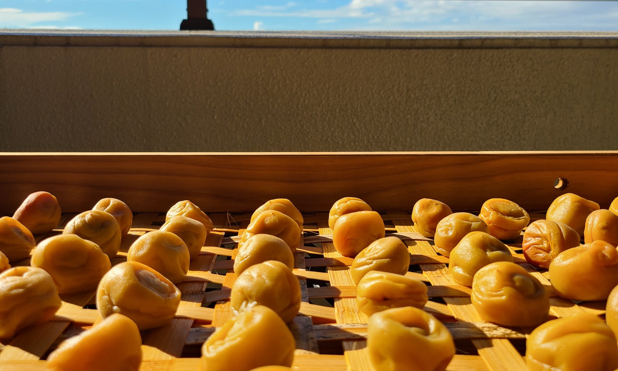 笊の上に梅が並び日光浴