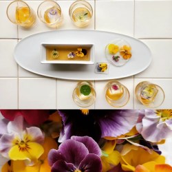 春の花たちとゼリーにした数種類のスイーツが並んでいます